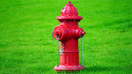 自然, 绿色, 红色, 消防, 消火栓, 消火栓