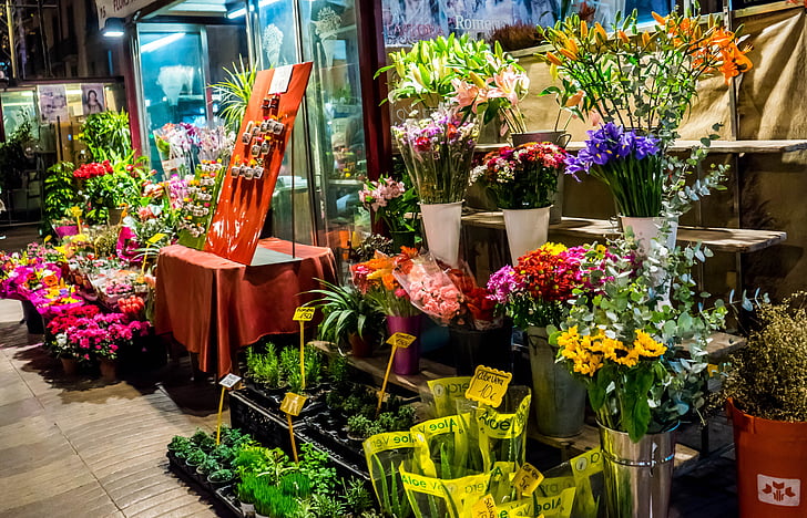 flower shop, night, street, downtown, europe, city at night, tourism