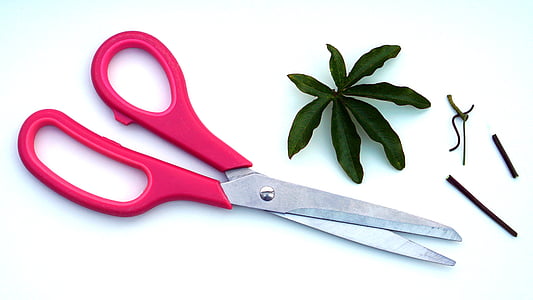 blade, close-up, cut, equipment, handle, leaf, materials