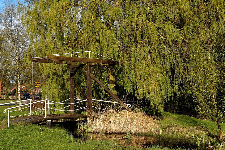 wooden bridge, transition, hängeweide, low hanging branches, green, spring, friendly