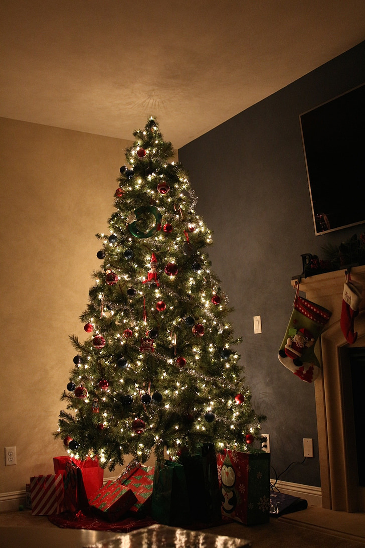 Vánoční, strom, kouzelné, svátek, Zimní, dekorace, Xmas