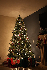 Коледа, дърво, магически, празник, зимни, декорация, Коледа