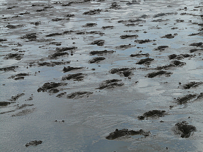 mudflat hiking, traces, hike, wadden sea, ford, schlick, mud