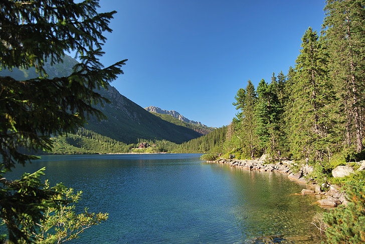 Morskie oko, Tatry, polske Tatra, Høje Tatra, søen, fyrretræ, nåletræer