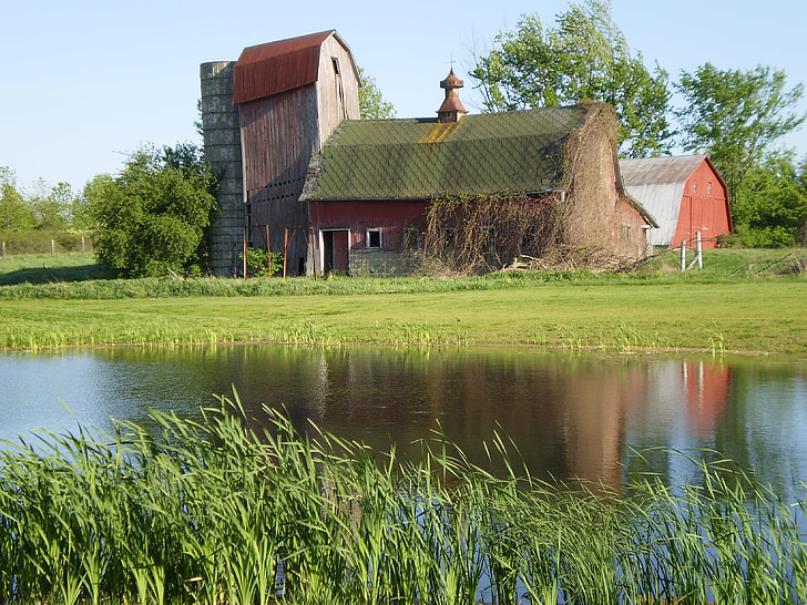 barn, water, old barn, agriculture, farm, structure, country