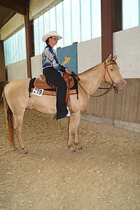 hest, dun, Cowboy, kvinde, ride