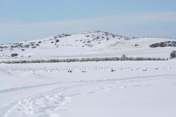 landscape, castilla, snow, treads, plain, sky, blue