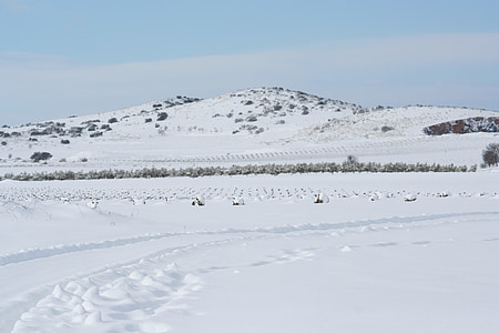 paisaje, Castilla, nieve, las pisadas, llanura de, cielo, azul
