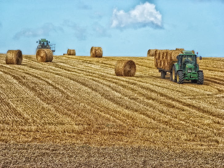 sena, farma, Francúzsko, pole, Hay, pšenica, nákladné vozidlá