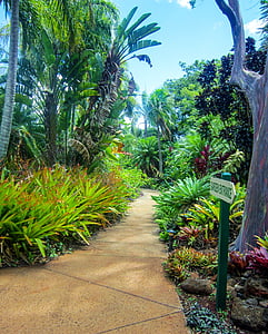 Kauai, Havaji, botanični vrt, Poipu