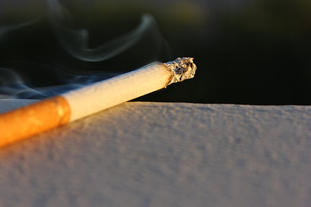 cigaretta, Marlboro, dohány, füst, ember, modell, a dohányzás