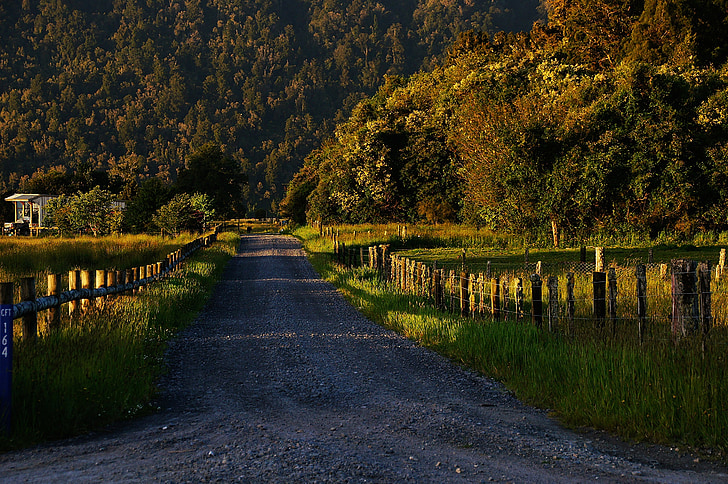 Country lane, Road, landskap, natursköna, träd, smala, solnedgång