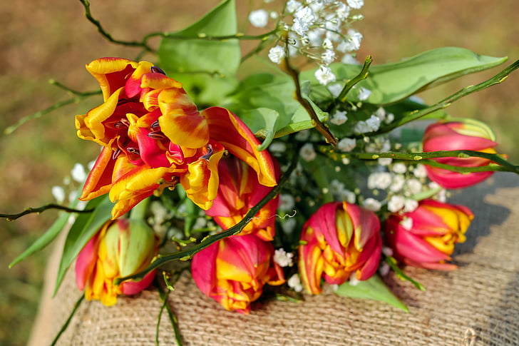 tulips, flowers, tulip bouquet, bloom, red yellow, filled tulips, colorful