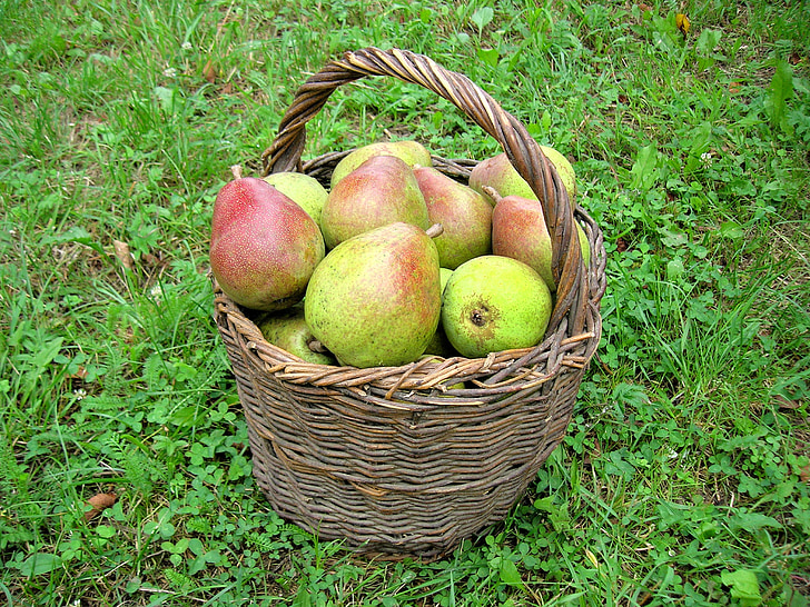 peras, colheita, frutas