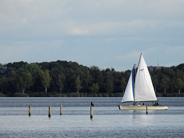 boot, ship, sailing boat, water, lake, north sea, holland