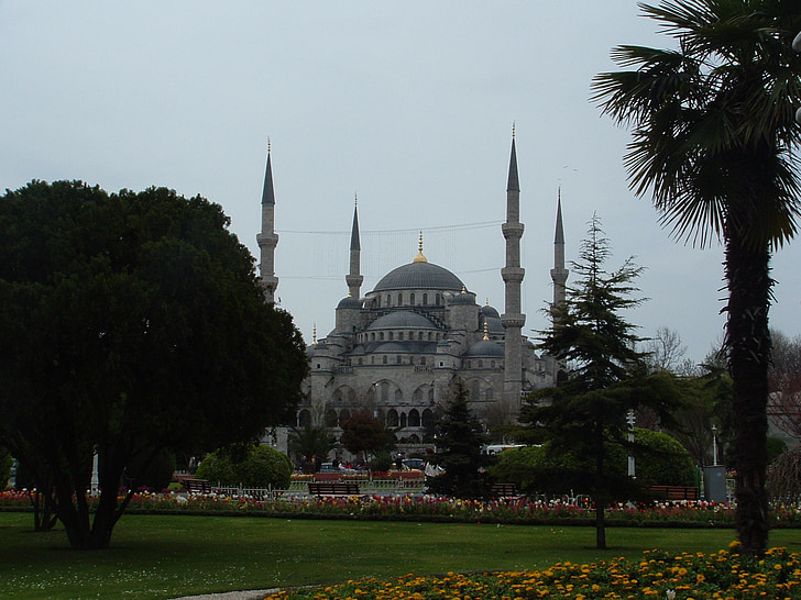 Istanbul, Sultanahmet, Turchia, architettura, minareti, di fuori, alberi