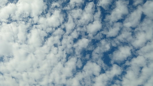 cel, blau, núvol, núvols del cel blau, temps, Cloudscape, cel blau