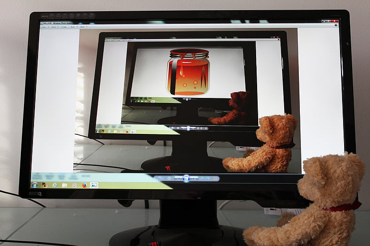 bear, teddy, soft toy, stuffed animal, teddy bear, technology, computer screen