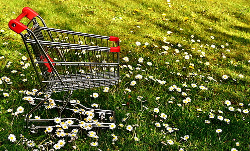 shopping, shopping cart, sale, meadow, daisy, consumerism, supermarket
