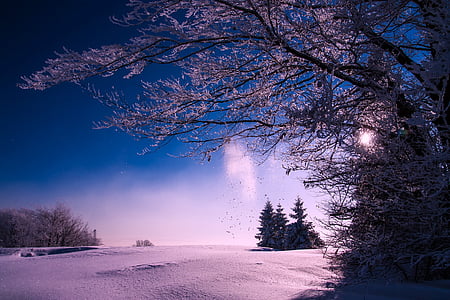 Inverno, neve, pôr do sol, Crepúsculo, céu, nuvens, paisagem