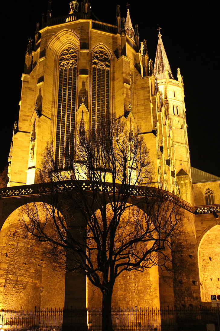 Erfurt, Dom, iluminado, árvore, Kahl, luz, à noite