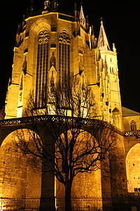 Erfurt, Dom, diterangi, pohon, Kahl, cahaya, malam