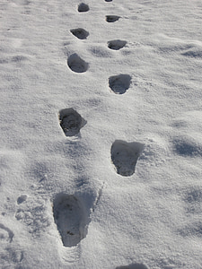 pēdas, pirkstu nospiedumi sniegā, sniega, ziemas, ceļi, kāju pēdas