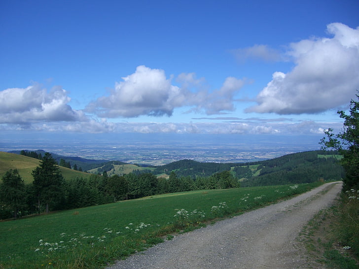suite, sentier, Outlook, forêt-noire, vallée du Rhin, vue, large
