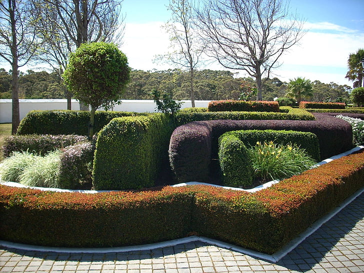 garden, hedge, topiary, gardening