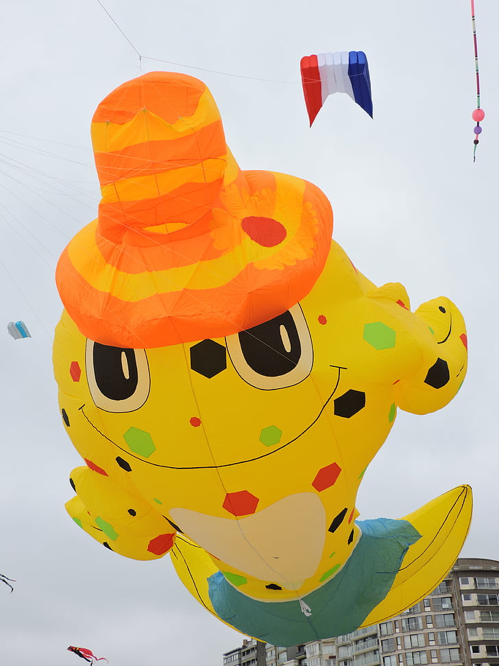 kites, happening, sea, air ballon, festival