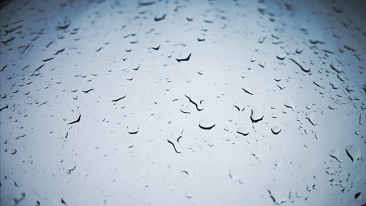 Regen, Tropfen, Tropfen Regen, Wasser, Tropfen von Wasser, ein Tropfen, Regentropfen