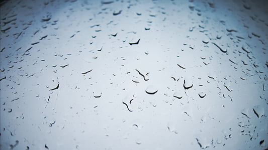 rain, drops, drop of rain, water, drops of water, a drop of, rain drops