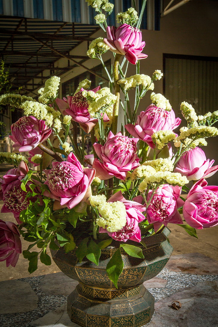 buket blomster, urtepotte, Flower pot, potteplante, blomster, dekoration, Pink