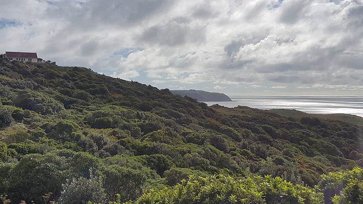 karehana, Bahía, Wellington