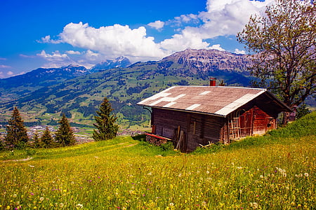 Suisse, montagnes, Cottage, cabine, maison, paysage, Scenic