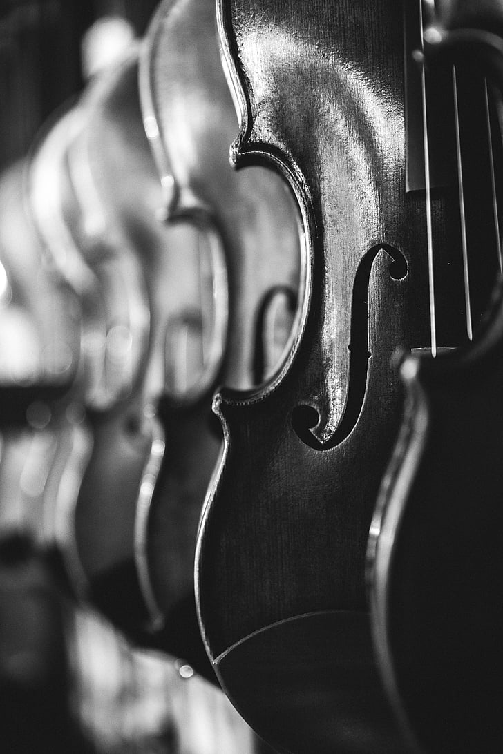 antique, black and white, blur, bowed stringed instrument, chrome, classic, classical music