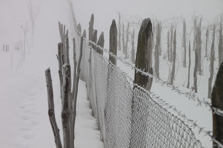 cold, fence, frozen, iron, white, wire, winter
