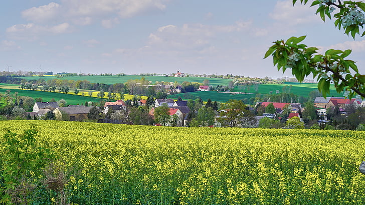 Würchwitz, nature, vue, paysage, pittoresque, météo, Panorama