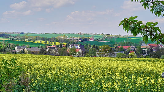 Würchwitz, Natur, Blick, Landschaft, malerische, Wetter, Panorama