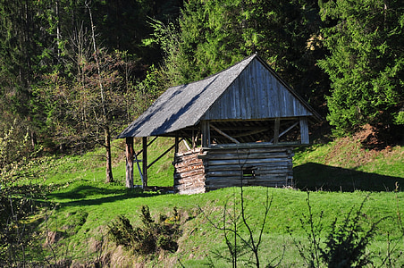 drewniany dom, góry, Polska