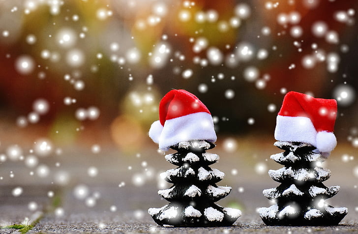 christmas, firs, snow, trees, funny, santa hat, christmas time