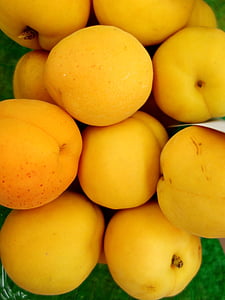 abricot, abricots, jaune
