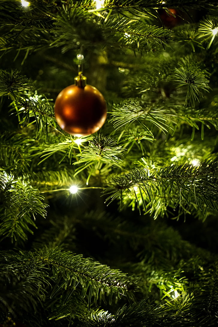 Natal, bola, hiasan Natal, ornamen Natal, weihnachtsbaumschmuck, Natal perhiasan, waktu Natal