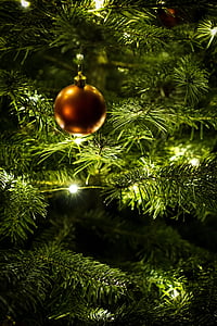 christmas, ball, christmas ornaments, christmas ornament, weihnachtsbaumschmuck, christmas bauble, christmas time