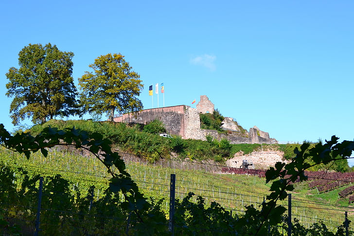fäste, Schwarzwald, Sexau, slott, ruin, medeltiden, Tyskland