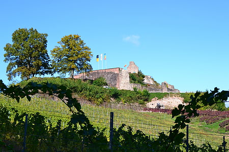 benteng, hutan hitam, sexau, Castle, kehancuran, abad pertengahan, Jerman