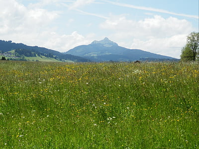 pieva, Allgäu, Žalioji, Panoramos, kalnai, 