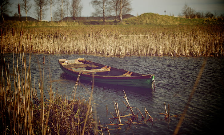 fotografia, verd, vela, vaixell, cos, l'aigua, Llac