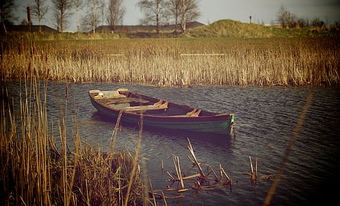 fotografije, zelena, jedro, brod, tijelo, vode, jezero