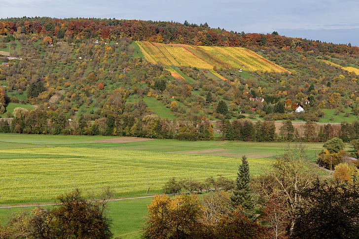 jesen, vinograd, boja, vanjska strana, doba godine, priroda, krajolik